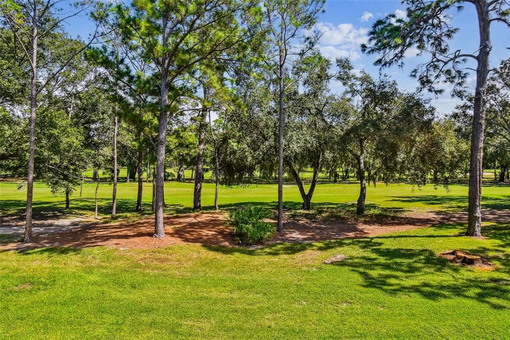 36750 US HIGHWAY 19 N # 19213, PALM HARBOR, FL 34684 — zdjęcie 2