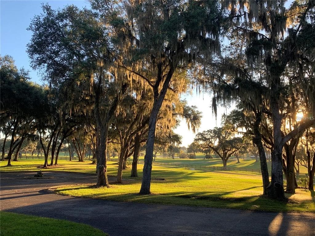 5540 SE 157TH STREET ROAD # (Option 1), SUMMERFIELD, FL 34491 — zdjęcie 3