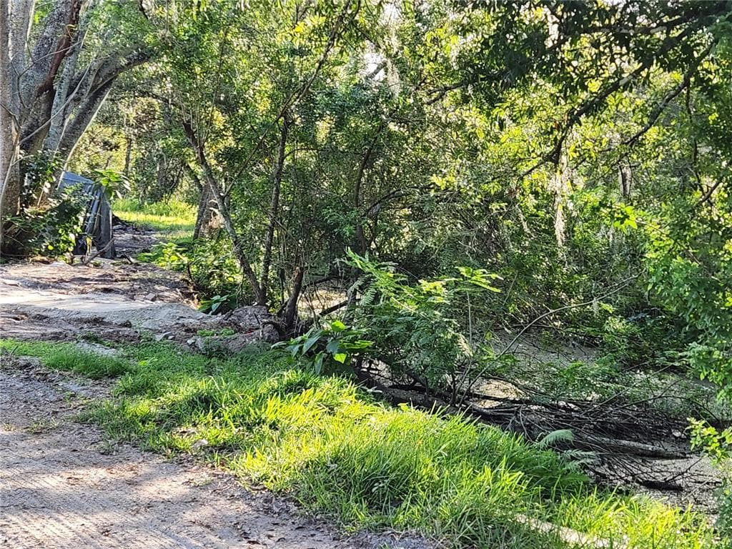 2608 20 MILE LEVEL ROAD, LAND O LAKES, FL 34639 — zdjęcie 5