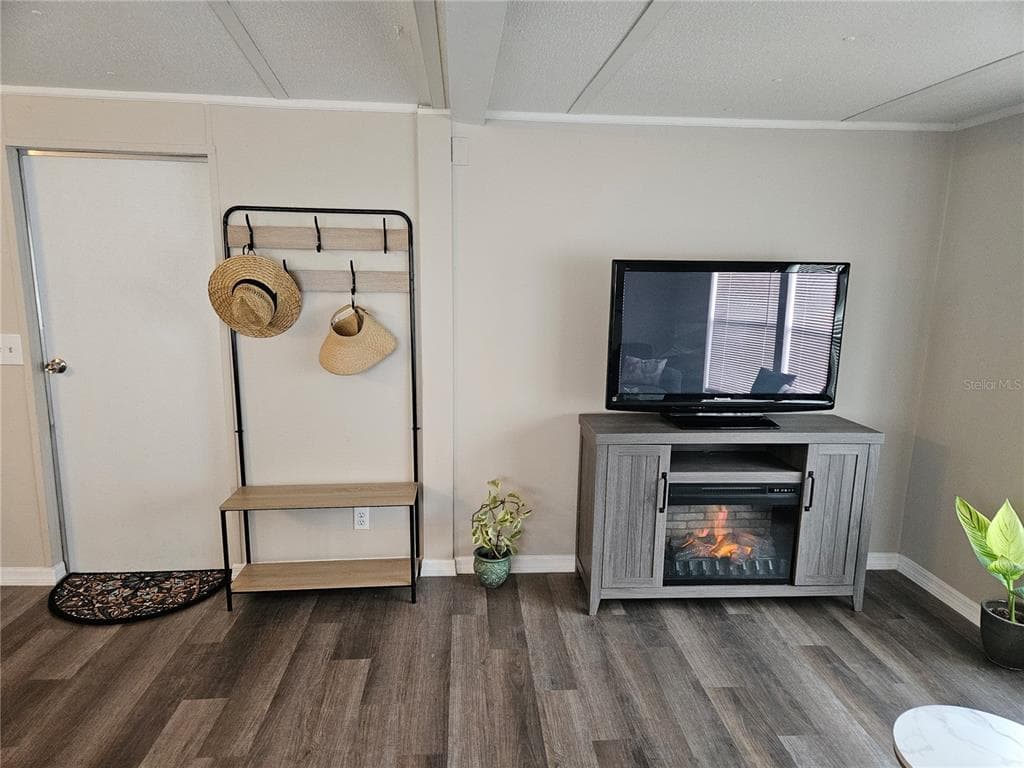 3130 GREAT OAK STREET, WESLEY CHAPEL, FL 33543 — zdjęcie 4