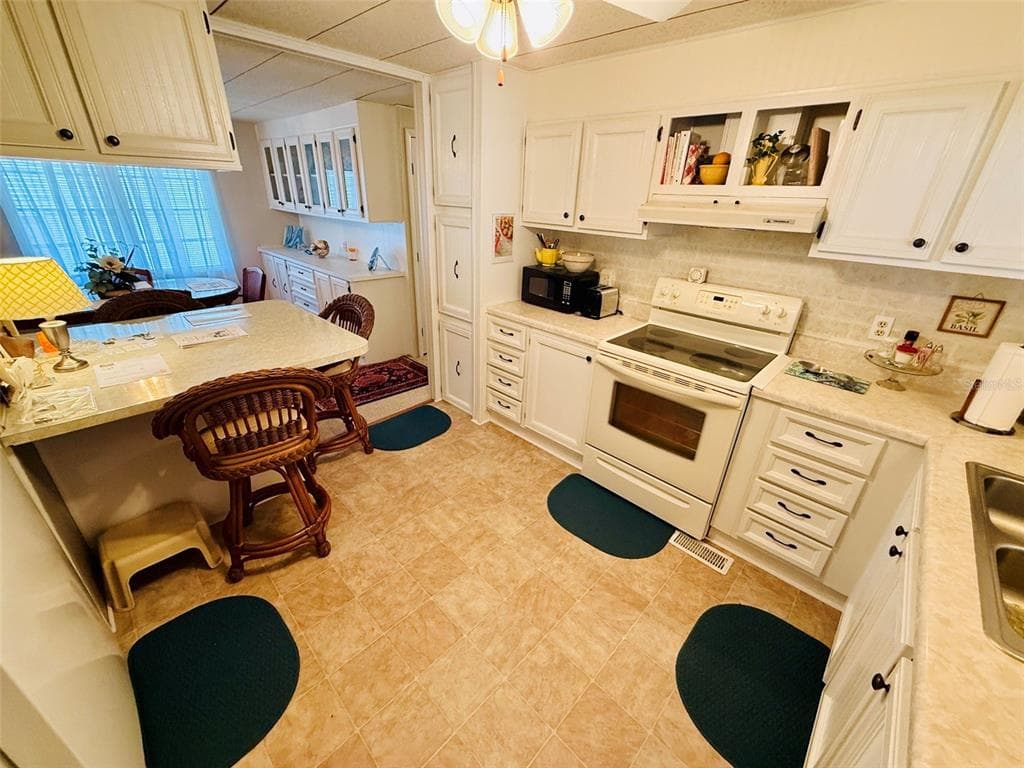 47 KONO CIRCLE, LEESBURG, FL 34788 — zdjęcie 5