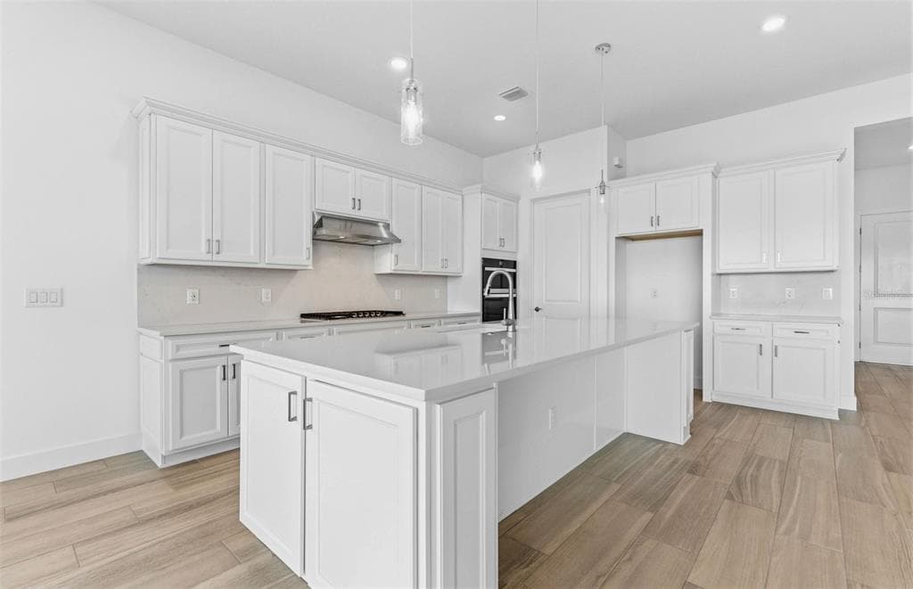 16412 RUSTIC SKY DRIVE, SPRING HILL, FL 34610 — zdjęcie 3