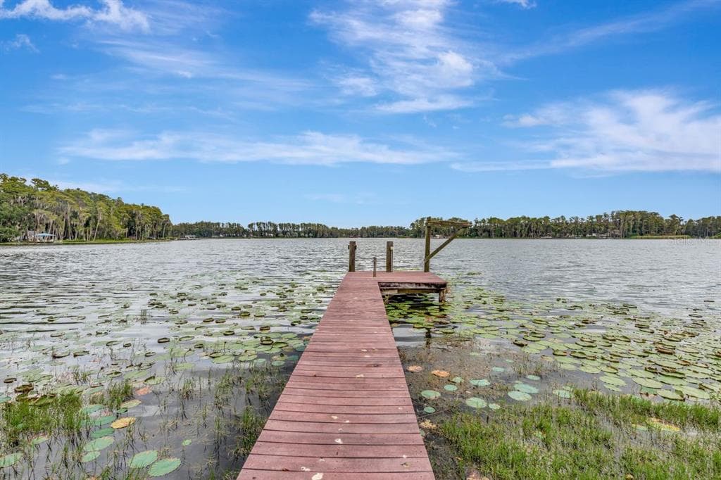 19207 CROOKED LANE, LUTZ, FL 33548 — zdjęcie 4