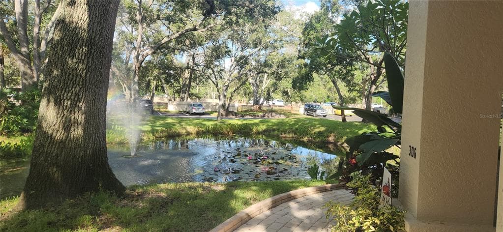 304 LOS PRADOS # 304, SAFETY HARBOR, FL 34695 — zdjęcie 2