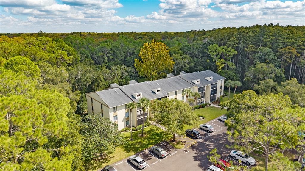 3232 LAKE PINE WAY E # F2, TARPON SPRINGS, FL 34688 — zdjęcie 2