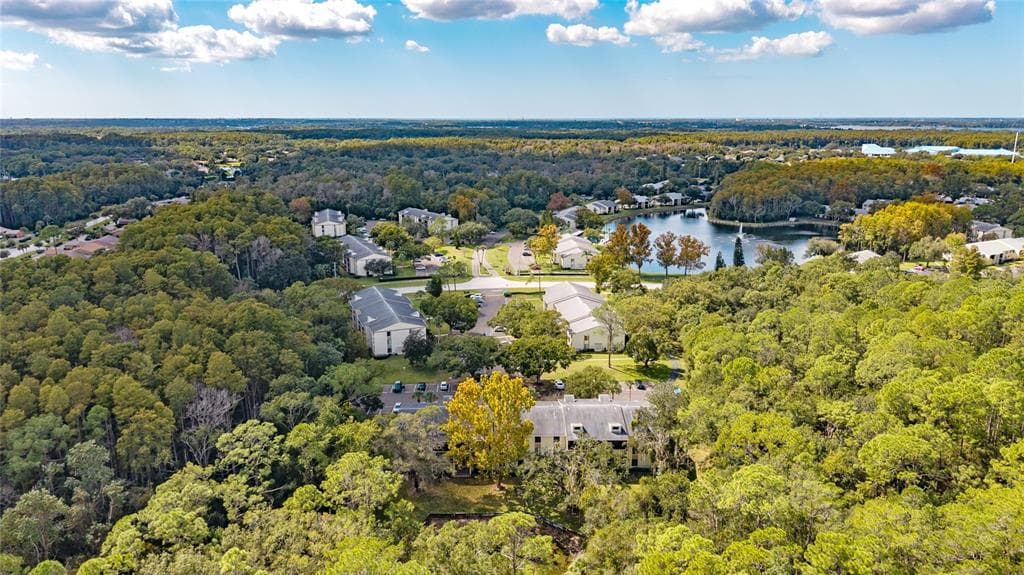 3232 LAKE PINE WAY E # F2, TARPON SPRINGS, FL 34688 — zdjęcie 3