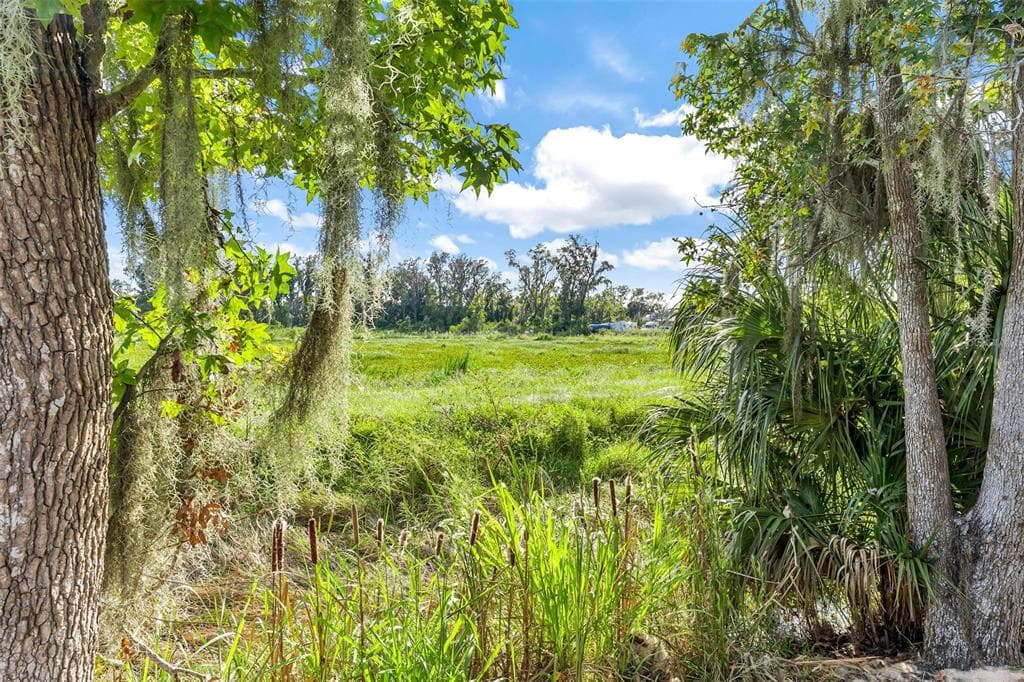 944 BELLE OAK DRIVE, LEESBURG, FL 34748 — zdjęcie 5