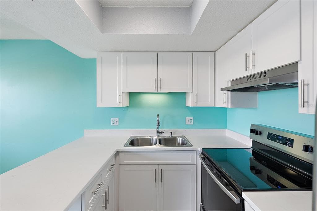 9895 1ST STREET E # 9, TREASURE ISLAND, FL 33706 — zdjęcie 3