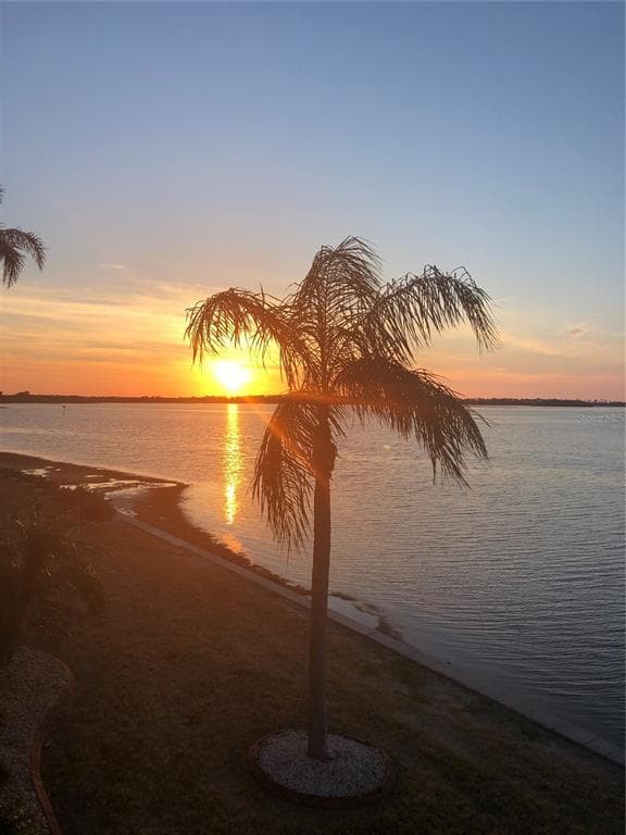 7 DUNOON PLACE # 203, DUNEDIN, FL 34698 — zdjęcie 2