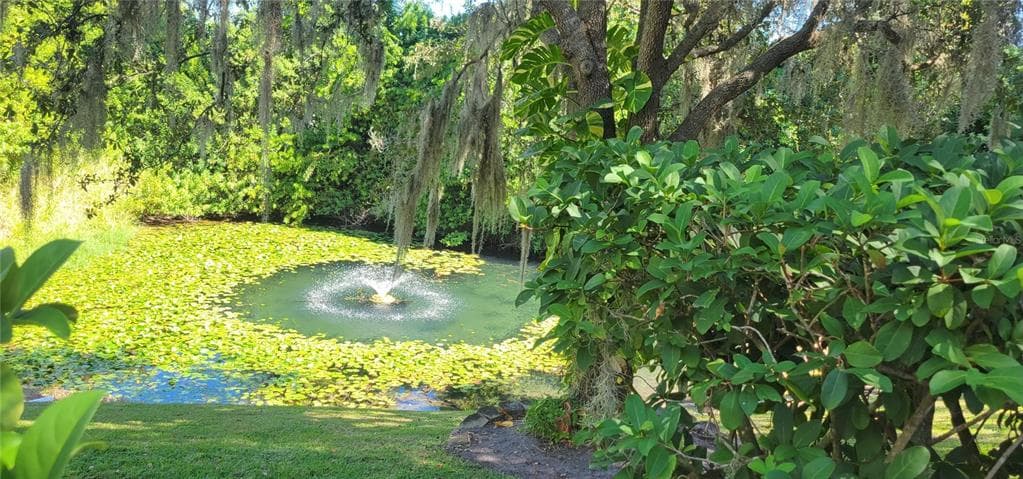 1004 OLD MILL POND ROAD, PALM HARBOR, FL 34683 — zdjęcie 2