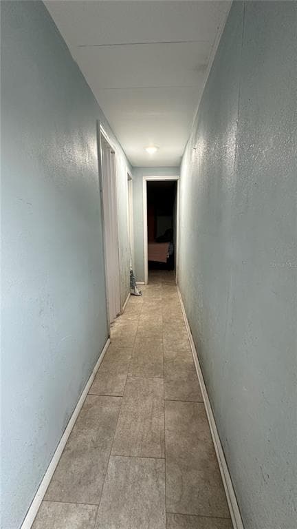 4422 ROSE STREET, VALRICO, FL 33596 — zdjęcie 4