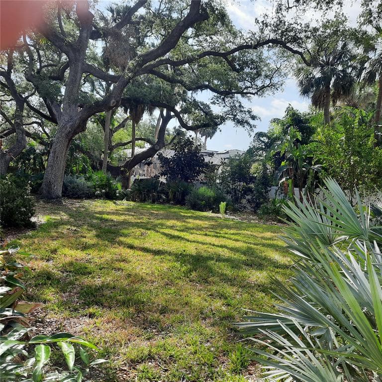 4806 W SAN JOSE STREET, TAMPA, FL 33629 — zdjęcie 5