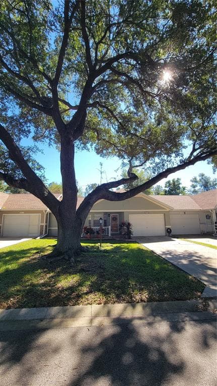 9331 SW 84TH TERRACE # D, OCALA, FL 34481 — zdjęcie 5