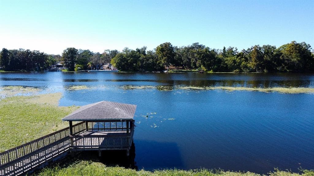 4148 DOLPHIN DRIVE # 3, TAMPA, FL 33617 — zdjęcie 2