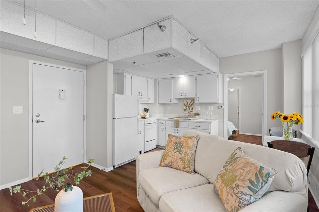 411 1ST AVENUE N # 307, ST PETERSBURG, FL 33701 — zdjęcie 5