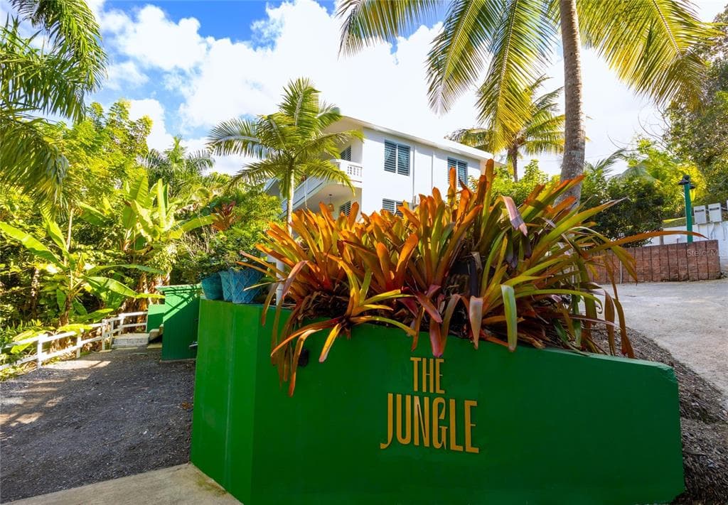 Carr. 413 Int.  Km 4 THE JUNGLE, RINCON, PR 00677