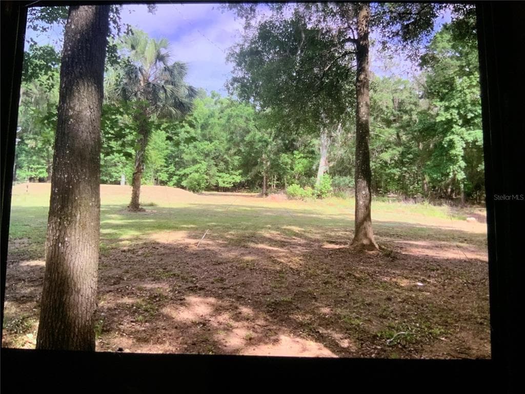 13080 NW 168TH PLACE, REDDICK, FL 32686 — zdjęcie 3