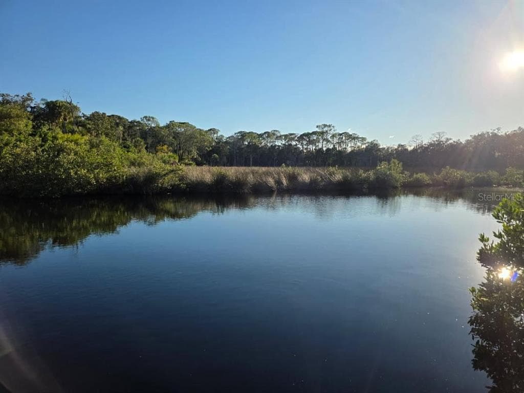 18909 ARIPEKA ROAD, HUDSON, FL 34667 — zdjęcie 3