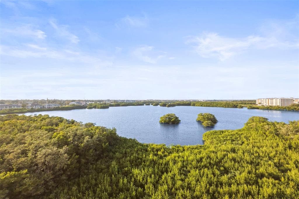 6495 SHORELINE DRIVE # 8502, ST PETERSBURG, FL 33708