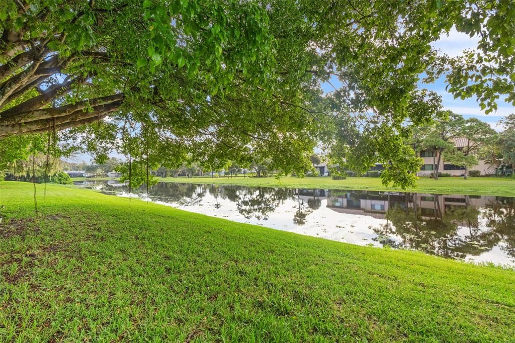9669 86TH AVENUE # 9669, SEMINOLE, FL 33777 — zdjęcie 4