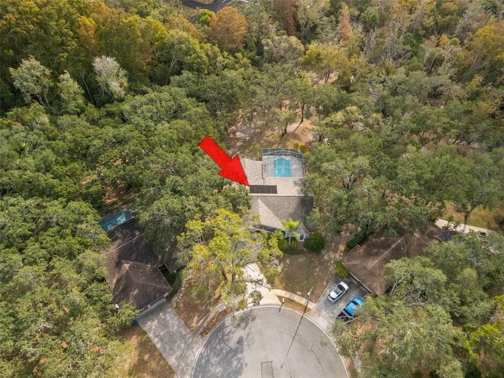 3734 THORNBUSH LANE, NEW PORT RICHEY, FL 34655 — zdjęcie 3