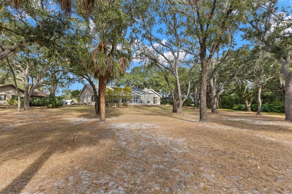 3734 THORNBUSH LANE, NEW PORT RICHEY, FL 34655 — zdjęcie 4