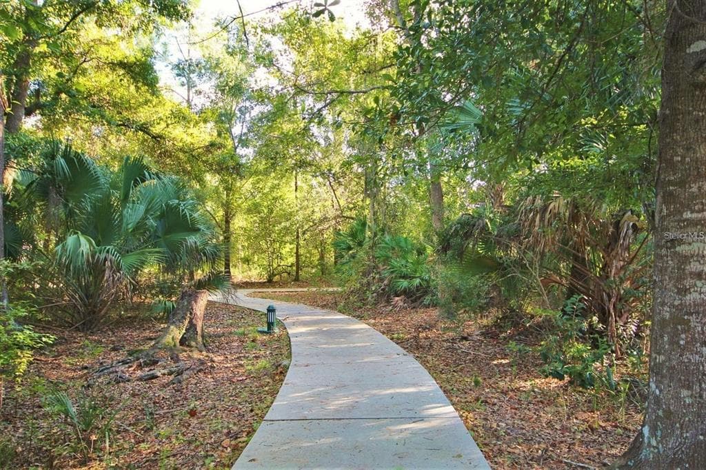 1007 SIENA PARK BOULEVARD E, KISSIMMEE, FL 34747 — zdjęcie 5