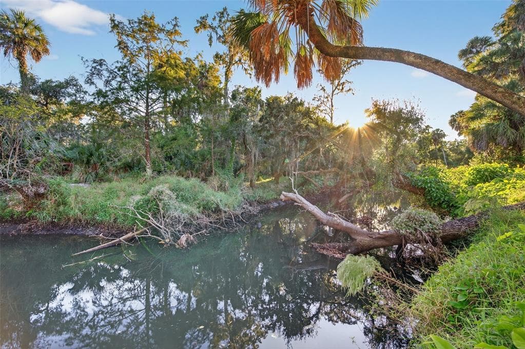 6345 LOST TRAIL, HOLIDAY, FL 34690 — zdjęcie 2