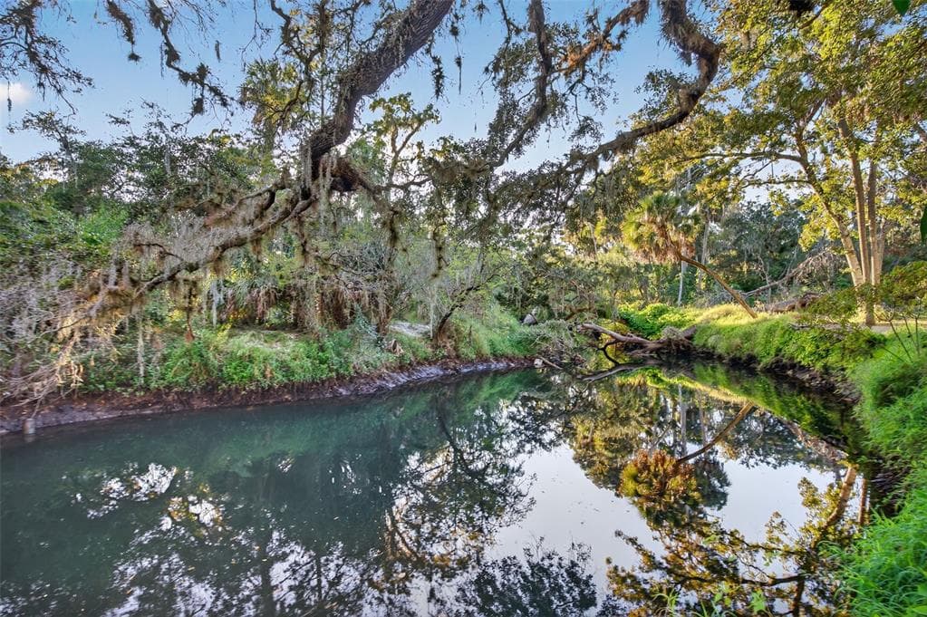 6345 LOST TRAIL, HOLIDAY, FL 34690 — zdjęcie 3