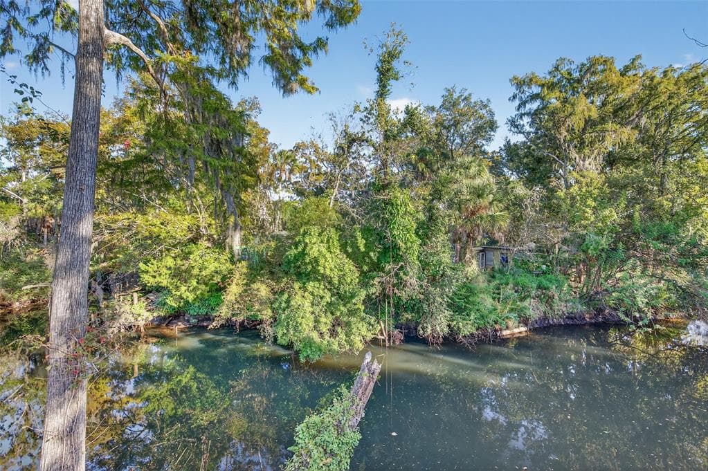6345 LOST TRAIL, HOLIDAY, FL 34690 — zdjęcie 4