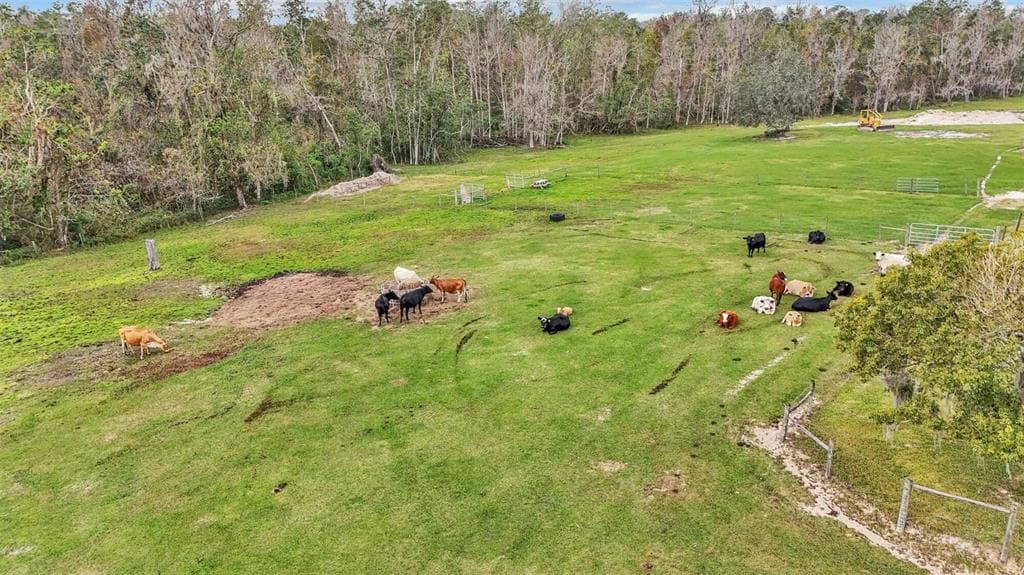 3182 INDIAN RIDGE PLACE, LAKELAND, FL 33810 — zdjęcie 5