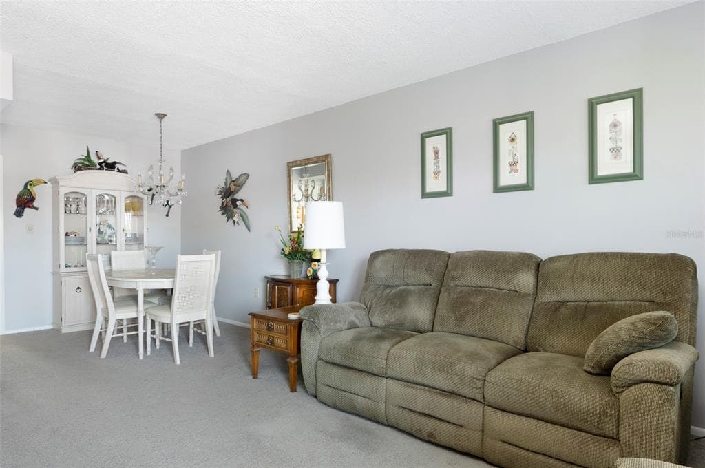 8101 11TH STREET N # 319, ST PETERSBURG, FL 33702 — zdjęcie 5