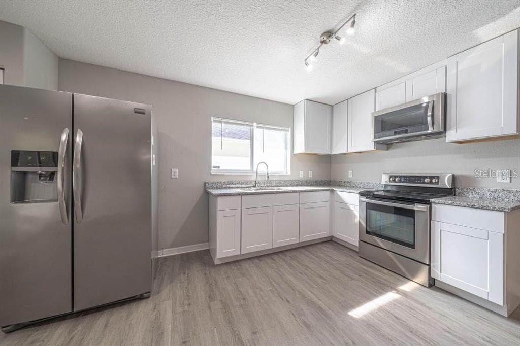 2025 PEACEFUL PALM STREET, RUSKIN, FL 33570 — zdjęcie 4