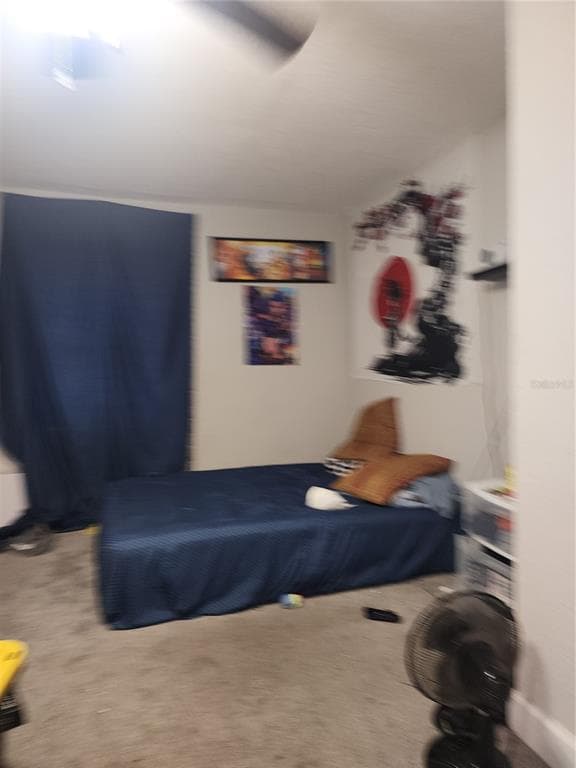 2439 LAKEVIEW STREET, LAKELAND, FL 33801 — zdjęcie 3