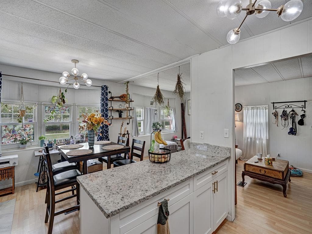 5124 DARLINGTON ROAD, HOLIDAY, FL 34690 — zdjęcie 4