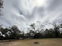 7040 LUMBERTON ROAD, ZEPHYRHILLS, FL 33540 — zdjęcie 5