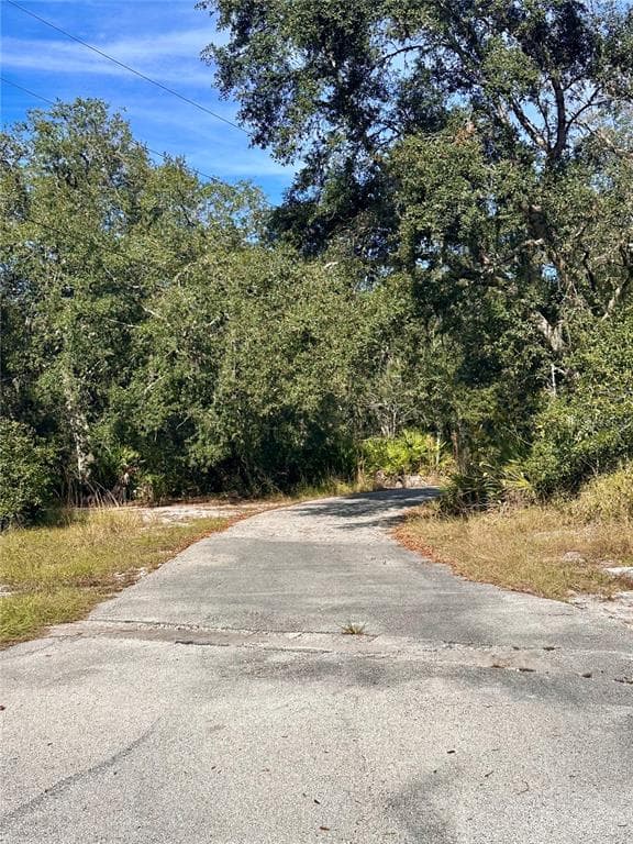 4125 TIGER CREEK TRL, LAKE WALES, FL 33898 — zdjęcie 2