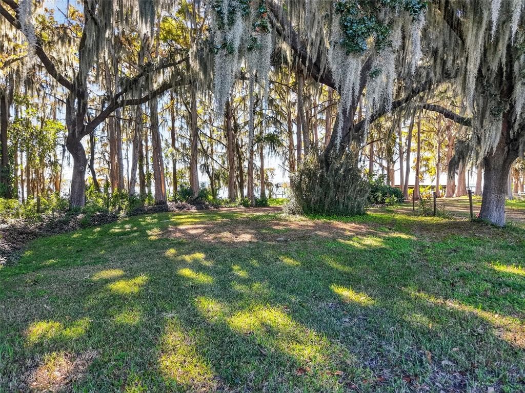 11911 LANE PARK ROAD, TAVARES, FL 32778 — zdjęcie 2