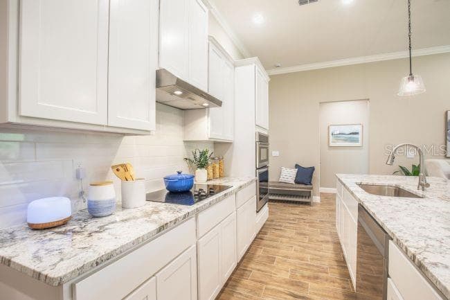 926 BUCKEYE DRIVE, LADY LAKE, FL 32159 — zdjęcie 5