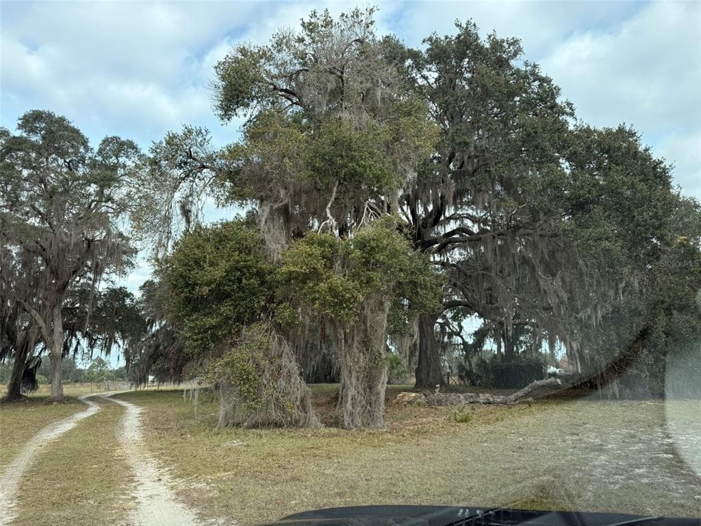 29605 FULLERVILLE ROAD, DELAND, FL 32720 — zdjęcie 4