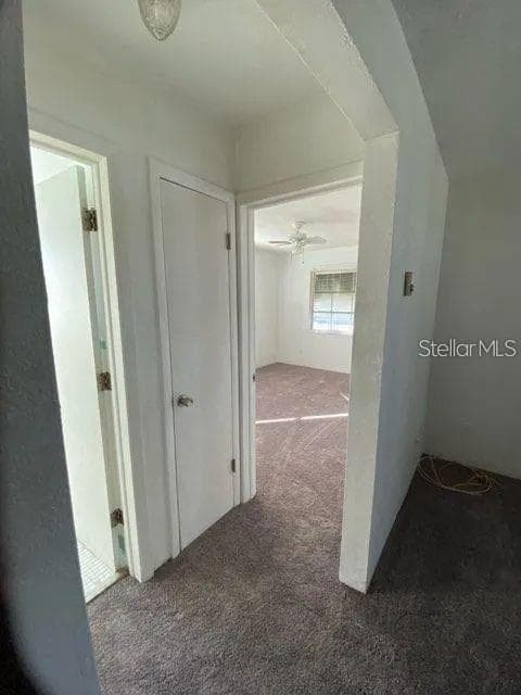 4018 6TH STREET S # 10, ST PETERSBURG, FL 33705 — zdjęcie 2