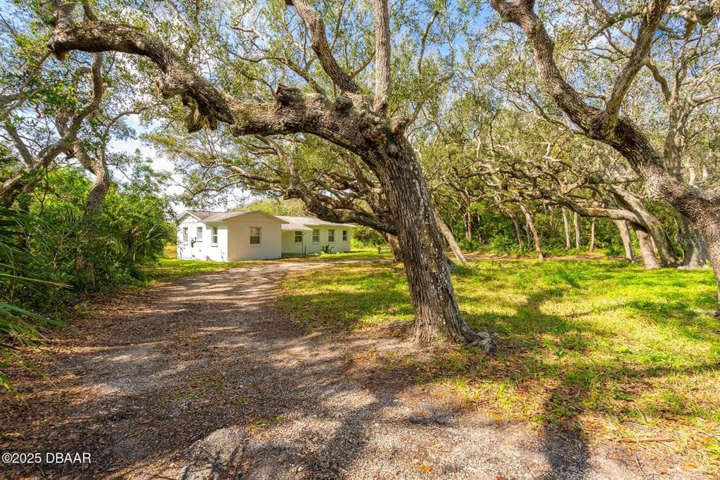4770 S PENINSULA DRIVE, PONCE INLET, FL 32127 — zdjęcie 2
