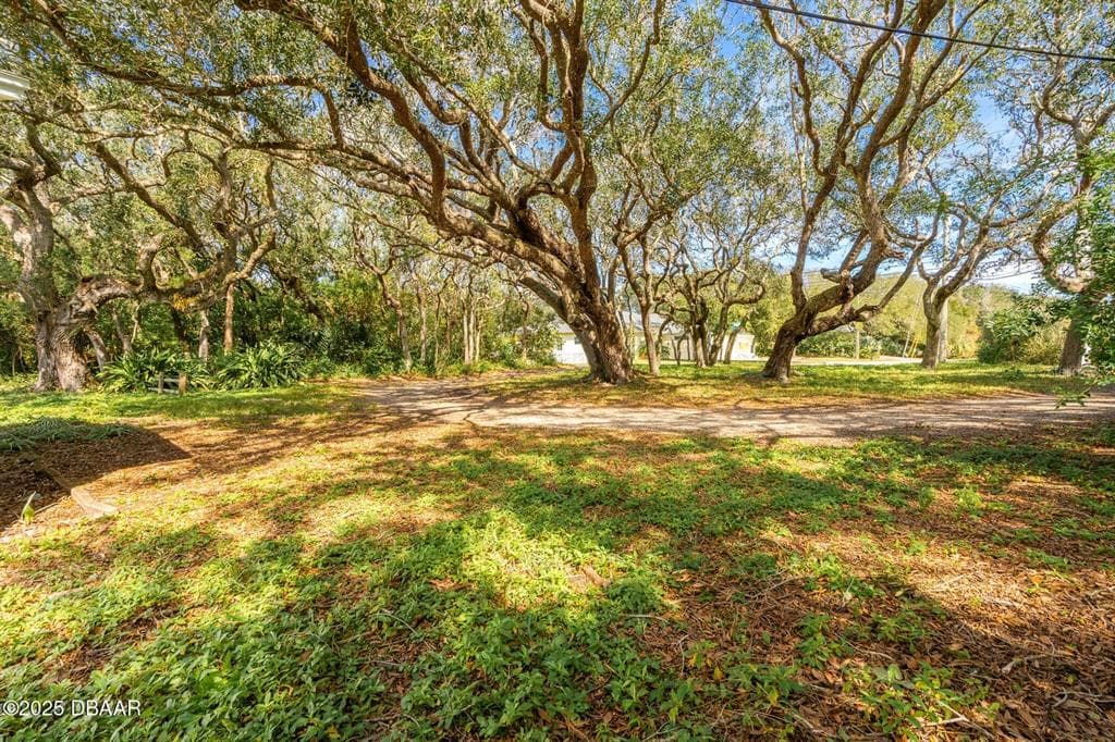 4770 S PENINSULA DRIVE, PONCE INLET, FL 32127 — zdjęcie 3