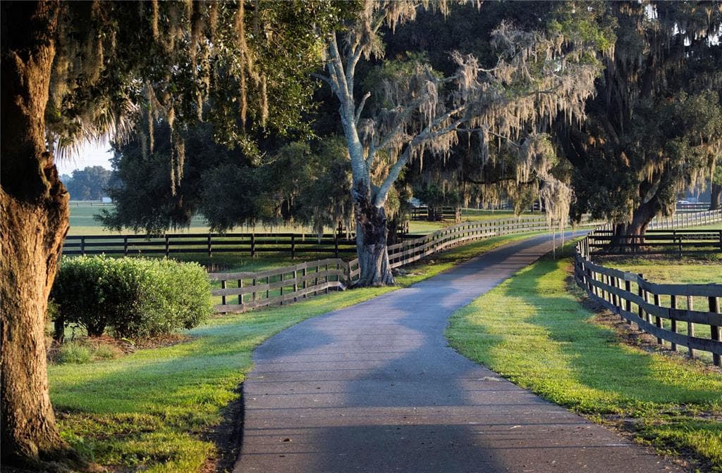 12870 W HIGHWAY 40, OCALA, FL 34481 — zdjęcie 4