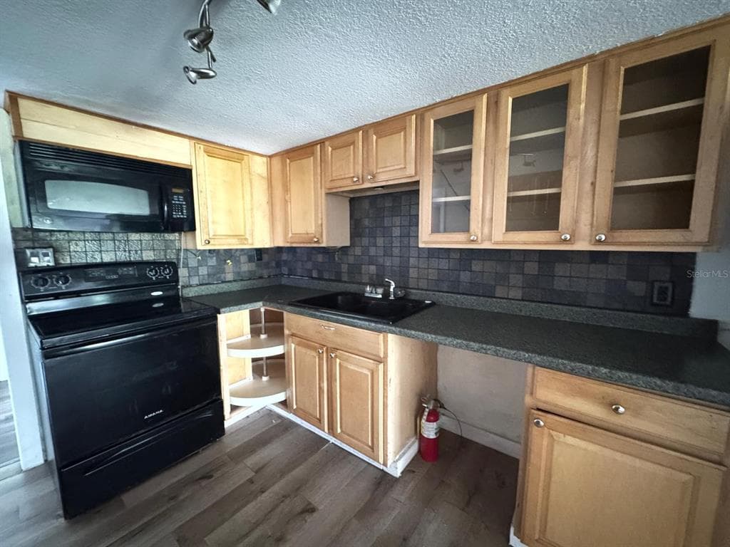 224 10TH AVENUE, OCOEE, FL 34761 — zdjęcie 3