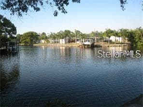 9105 TUDOR DRIVE # 203, TAMPA, FL 33615