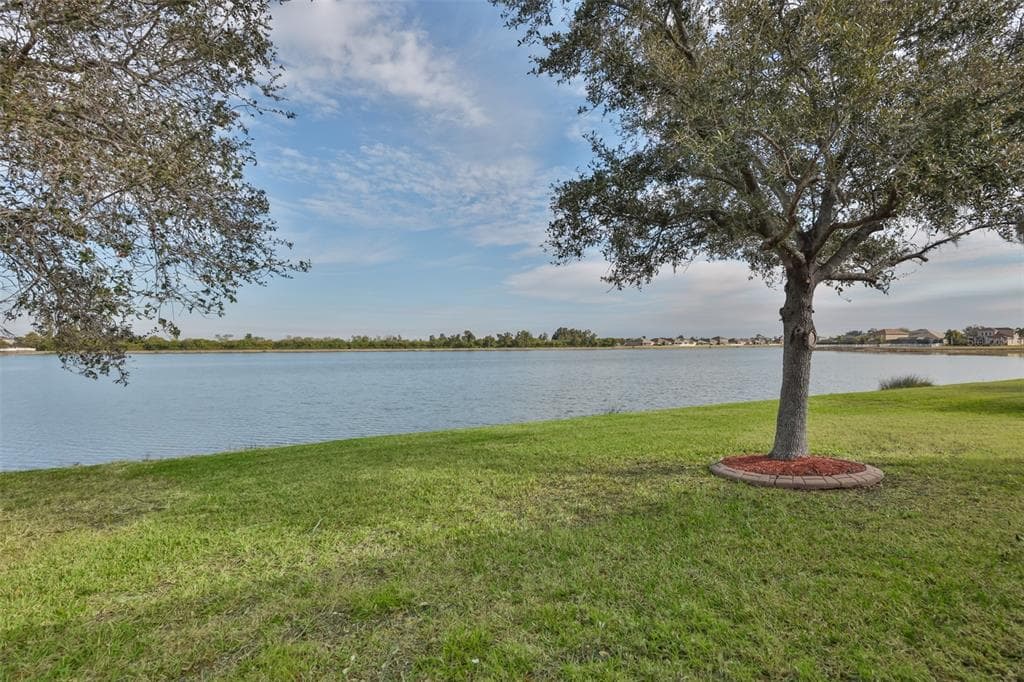 823 SEMINOLE SKY DRIVE, RUSKIN, FL 33570 — zdjęcie 5