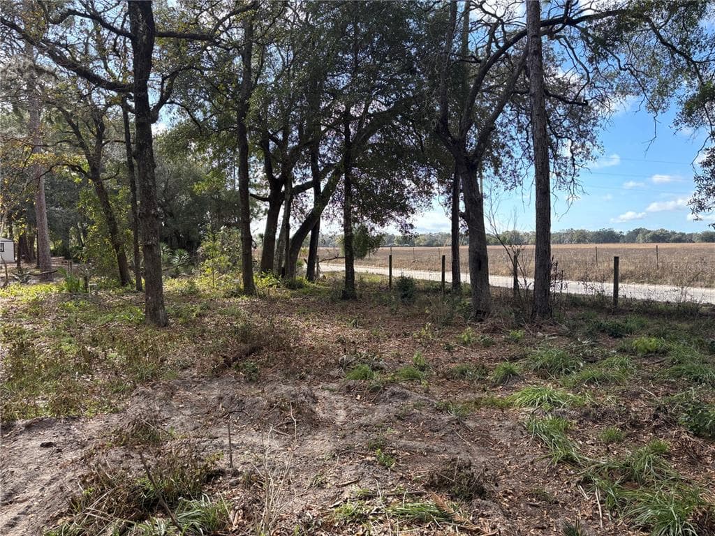 31 SE 190TH AVENUE, OLD TOWN, FL 32680 — zdjęcie 3