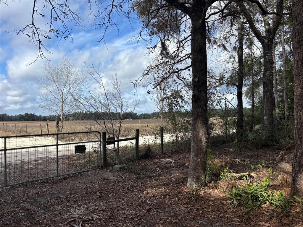 31 SE 190TH AVENUE, OLD TOWN, FL 32680 — zdjęcie 5