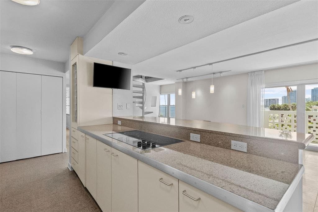 2401 BAYSHORE BOULEVARD # 410 & 510, TAMPA, FL 33629 — zdjęcie 3